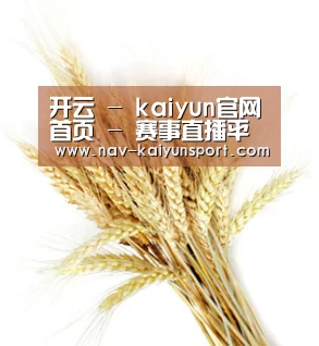 开云 - kaiyun官网首页 - 赛事直播平台