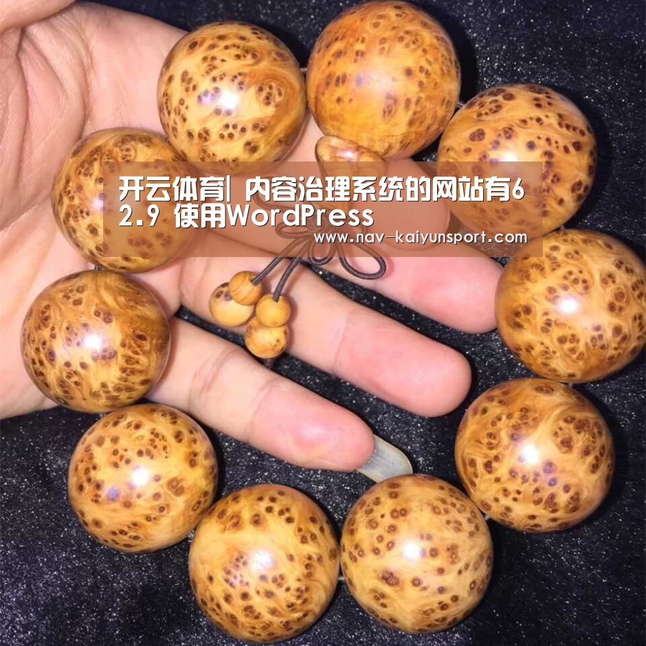 开云体育|
内容治理系统的网站有62.9 使用WordPress(图1) 赛事数据