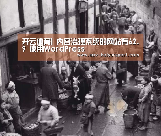 开云体育|
内容治理系统的网站有62.9 使用WordPress(图2) 开云平台